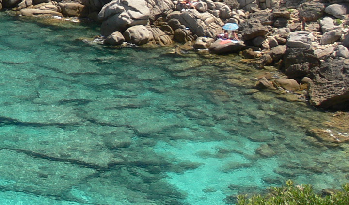 cala spinosa