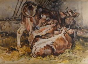 'Mucche' di Aldo Raimondi